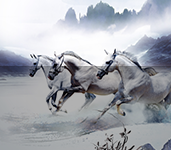 管理水平高，設(shè)計(jì) 、施工實(shí)力領(lǐng)先